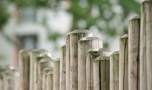 Wood Fence